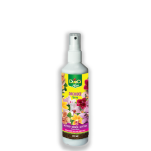 Spray orchidee