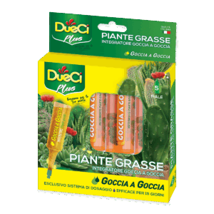 Goccia a Goccia Piante Grasse