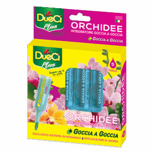 Goccia a Goccia Orchidee